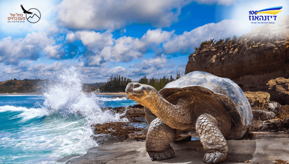 טיול מאורגן לפרו ואיי גלאפגוס