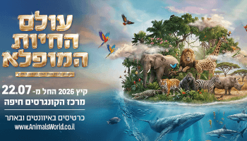 תערוכת "עולם החיות המופלא"