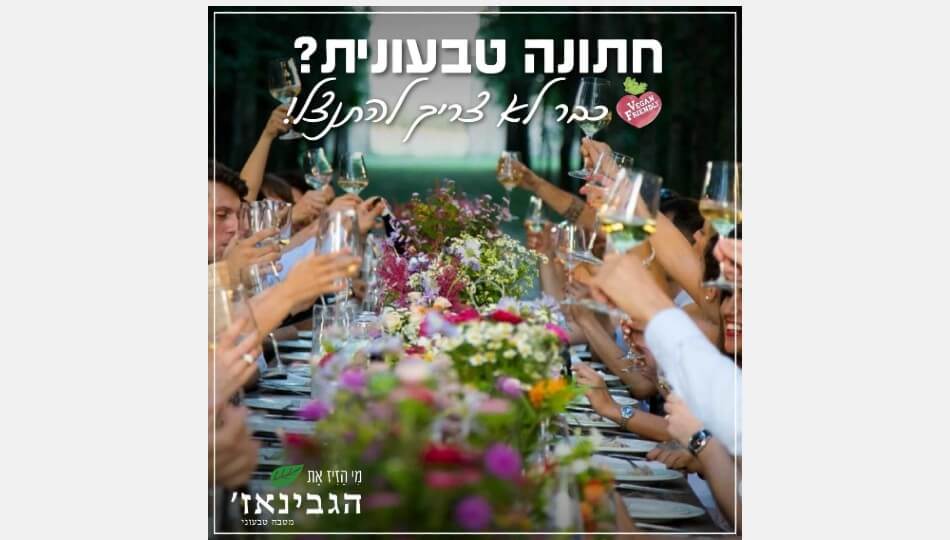 קייטרינג גבינאז'