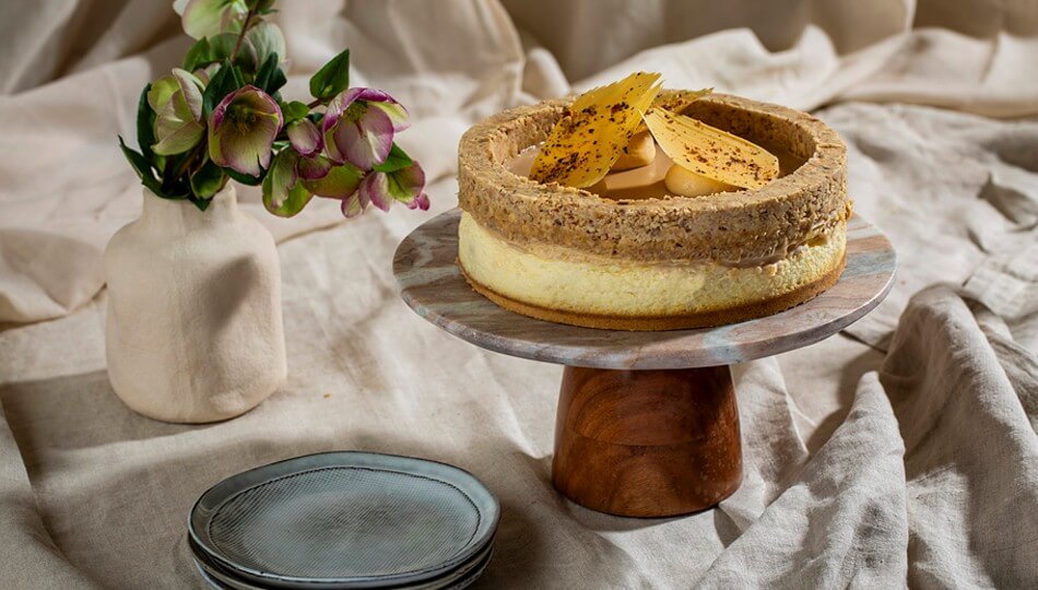 רשת ביסקוטי