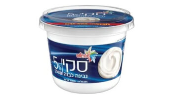 גבינה לבנה סקי