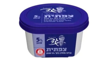גבינה צפתית גד