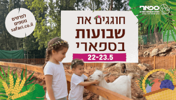 כרטיס לספארי