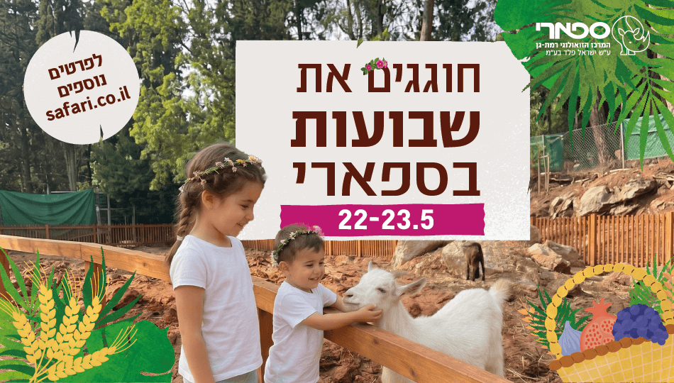 כרטיס לספארי