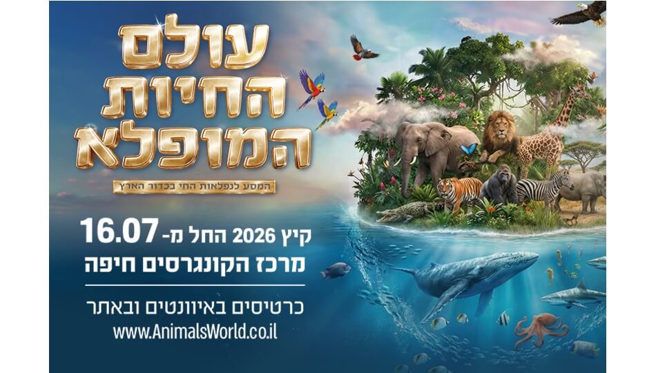 תערוכת 