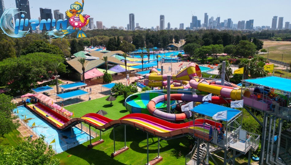 כרטיס למימדיון
