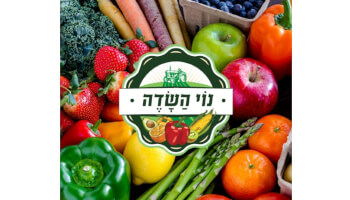 נוי השדה
