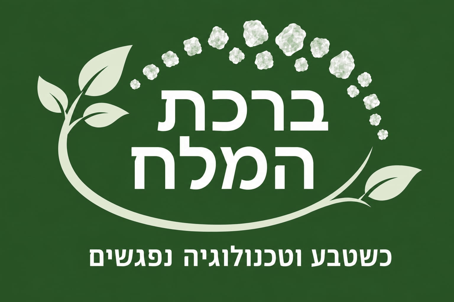 ברכת המלח- חדר מלח פרטי- ויגן פרנדלי