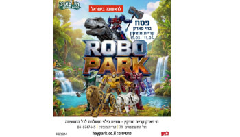 כרטיס לROBO PARK