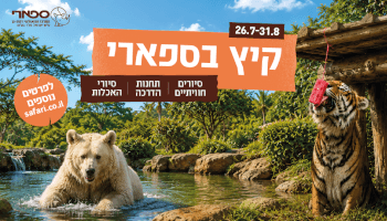 כרטיס לספארי
