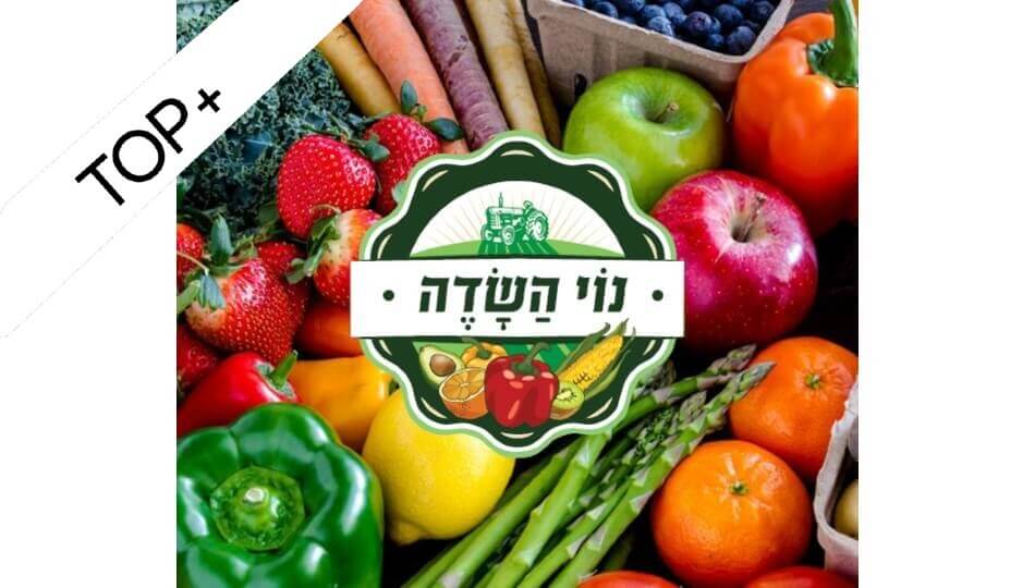 נוי השדה