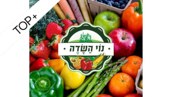 נוי השדה