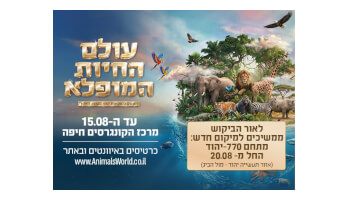 תערוכת "עולם החיות המופלא"
