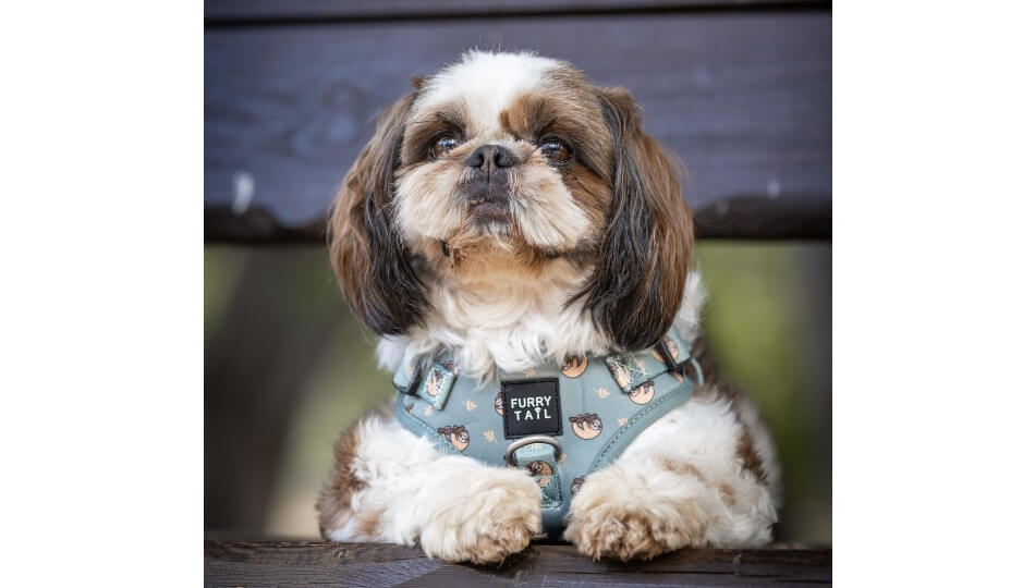 FURRYTAIL