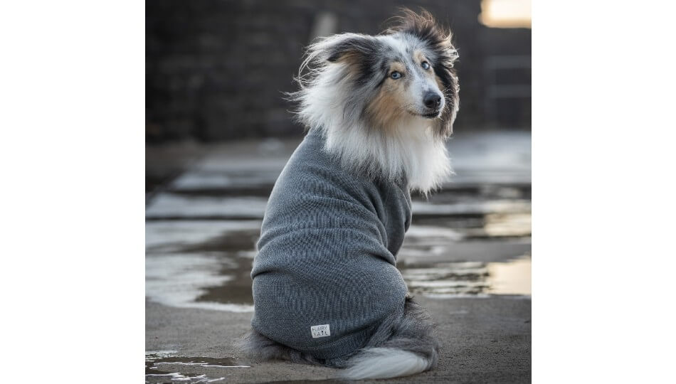 FURRYTAIL