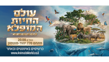 תערוכת "עולם החיות המופלא"
