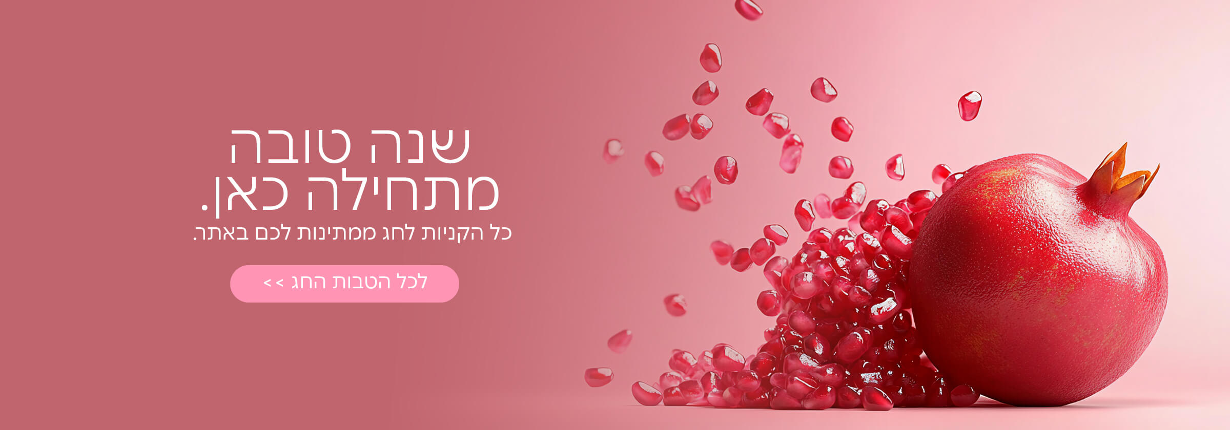 שנה שמתחילה בקניות זולות 