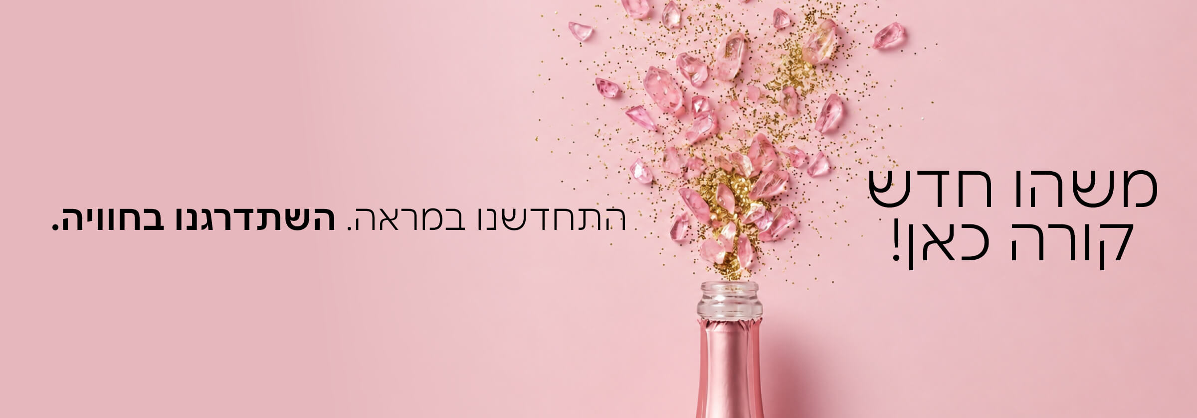 ברוך הבא לאתר חדש