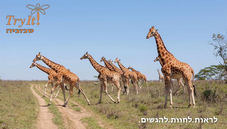מפלי ויקטוריה וקייפטאון
