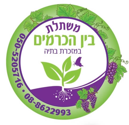 משתלת בין הכרמים