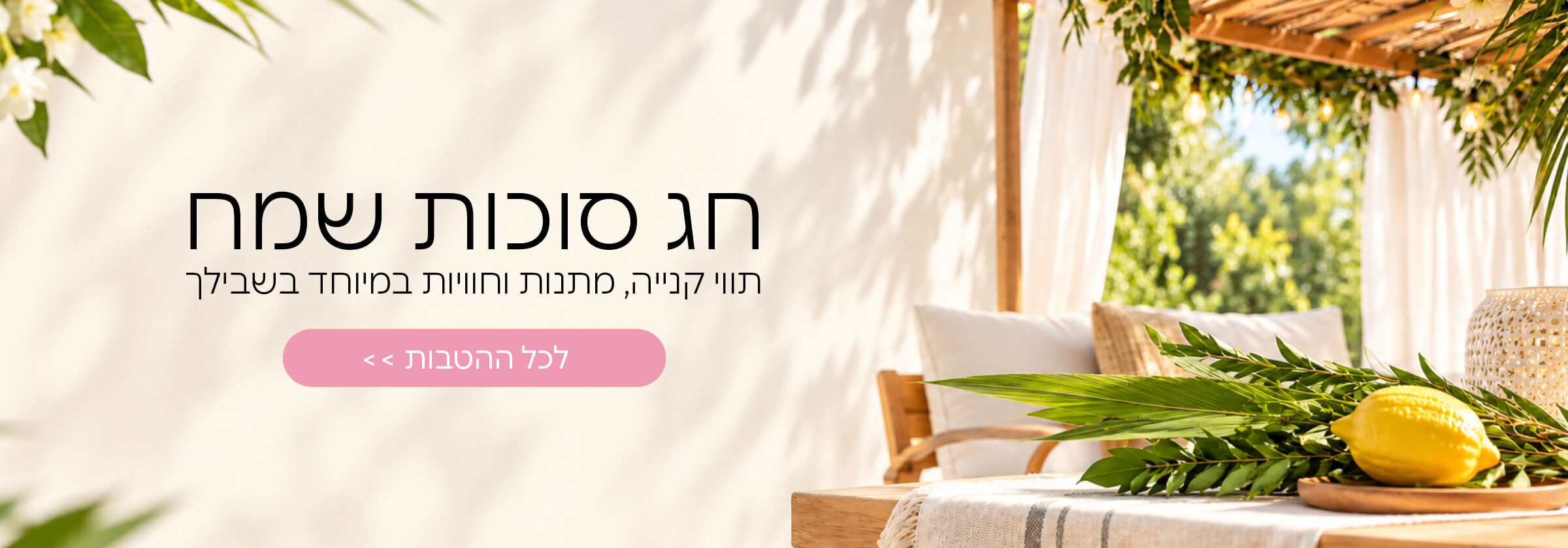 שנה שמתחילה בקניות זולות 