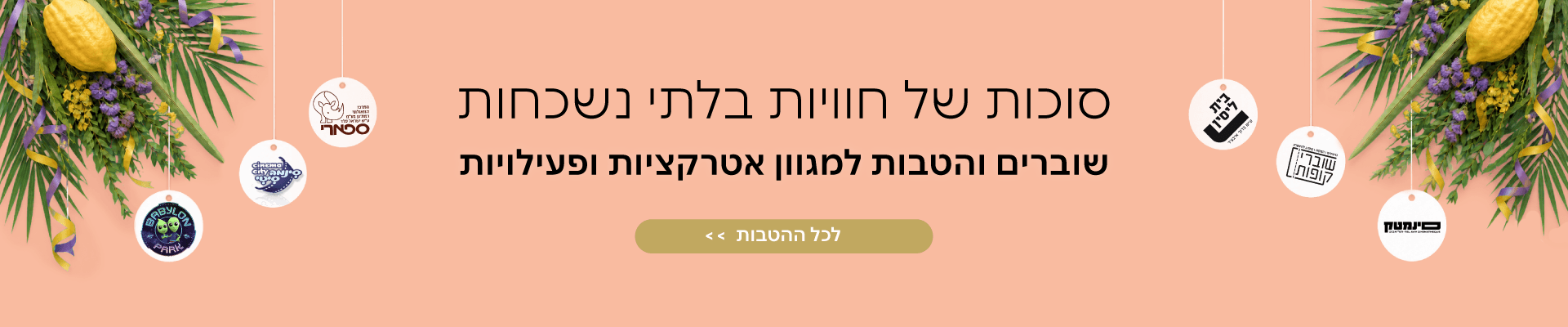 הטבות ושוברים לאטרקציות 
